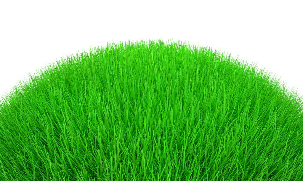 3d 草
